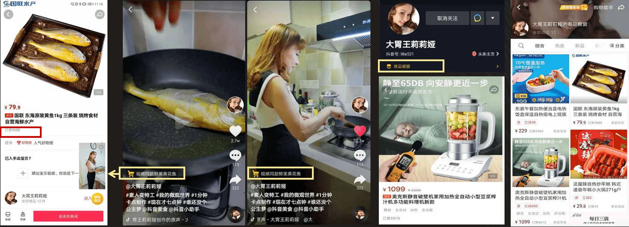 網紅商業化合作案例