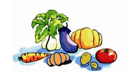 農產品短視頻營銷