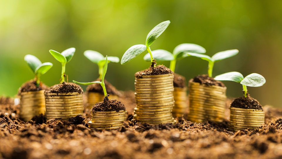 農產品電商帶貨短視頻營銷 農產品電商帶貨短視頻營銷