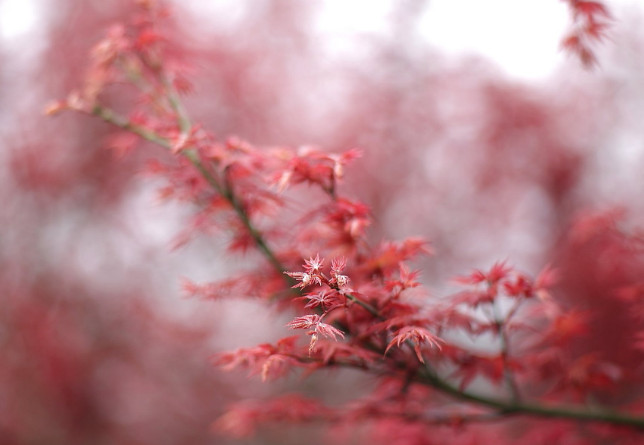 農產品短視頻營銷策劃 農產品短視頻營銷策劃