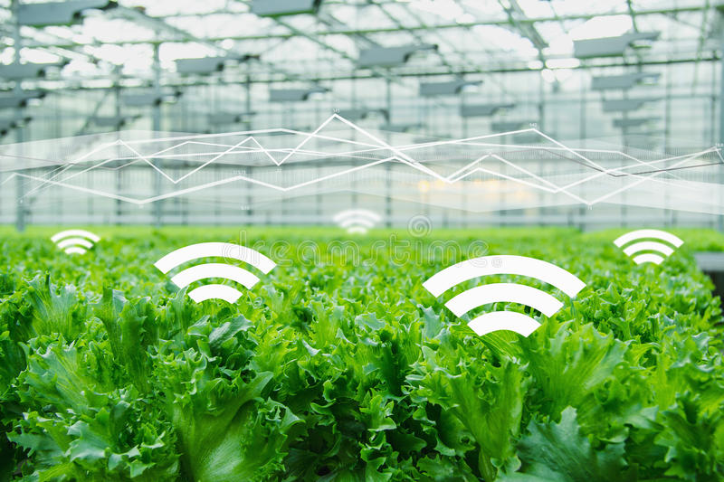 互聯(lián)網(wǎng)農(nóng)業(yè)品牌定位應(yīng)該找哪些人來做？