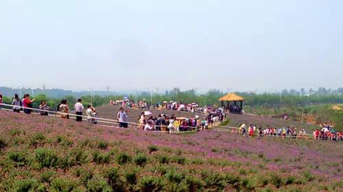 農業品牌策劃能給公司帶來什么利益呢？