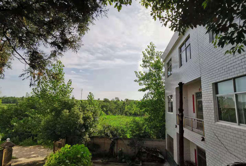 鄉村品牌建設產業融合引領鄉村產業高質量發展