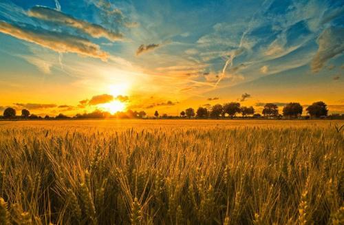 品牌定位，農業品牌定位