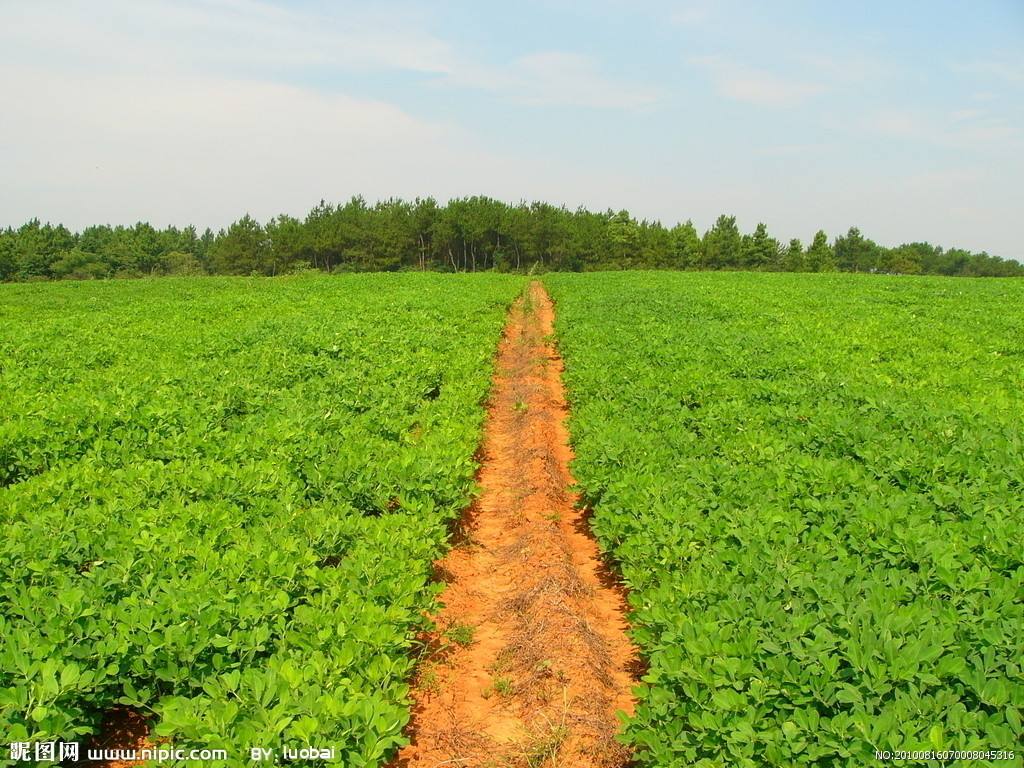 農業(yè)品牌營銷 農業(yè)品牌營銷
