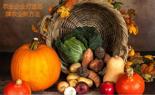 農業企業打造品牌農業新方法