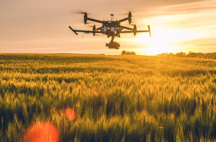 農業發展戰略策劃 農產品品牌策劃設計公司 農業發展戰略策劃 農產品品牌策劃設計公司