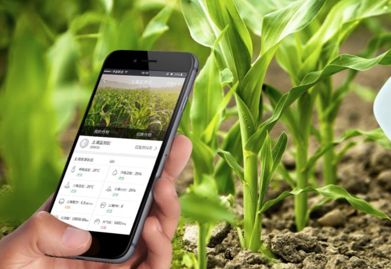 農業發展戰略策劃 農產品品牌策劃設計公司 農業發展戰略策劃 農產品品牌策劃設計公司