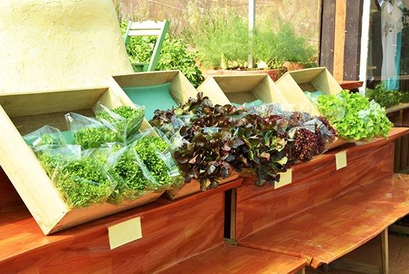 農業包裝設計的重要作用與意義