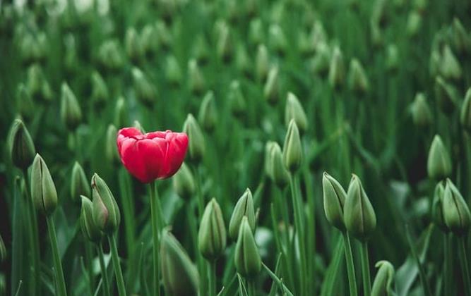 企業形象策劃公司