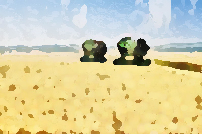 農業公司品牌形象提升，實現農業增效、農民增收