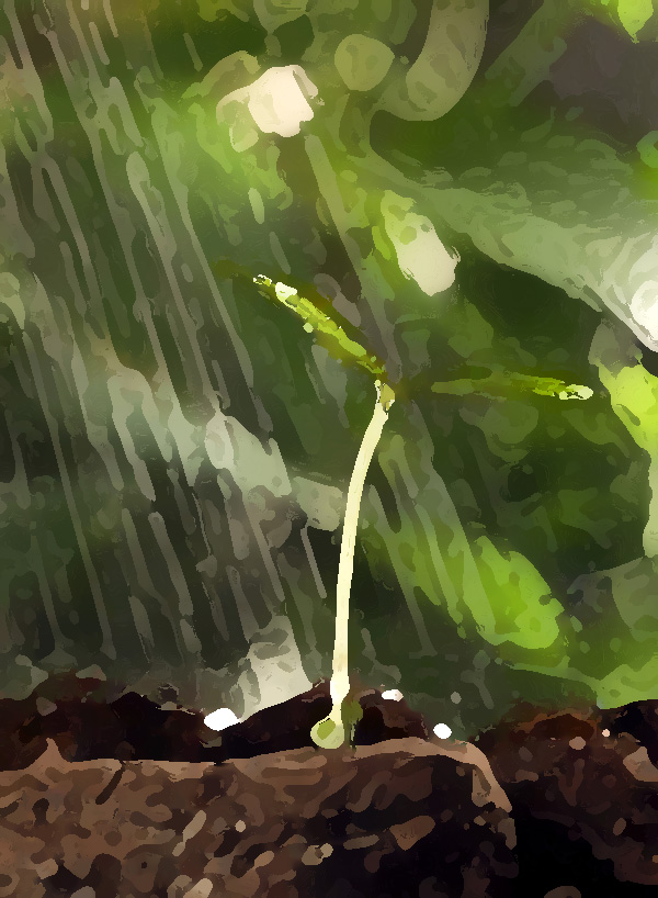 農業公司品牌提升策劃，實現農業垂直一體化