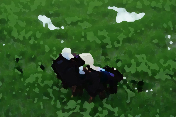 農業品牌形象提升機構，品牌強則農業強