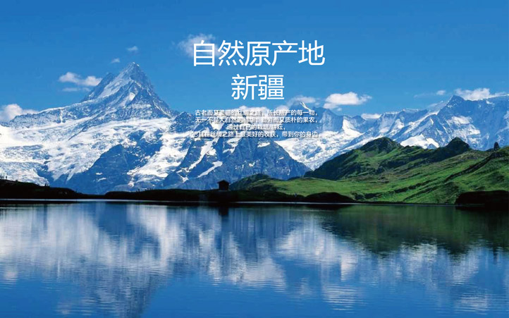 有機農產品品牌策劃