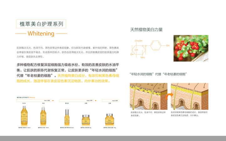 化妝品包裝設(shè)計