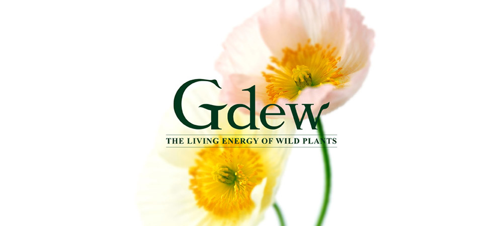 韓國Gdew化妝品  進軍中國的品牌建設(shè)之路