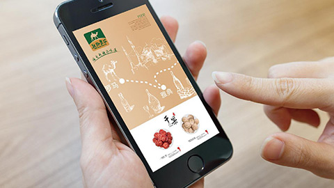 農(nóng)業(yè)品牌策劃,農(nóng)產(chǎn)品品牌設(shè)計