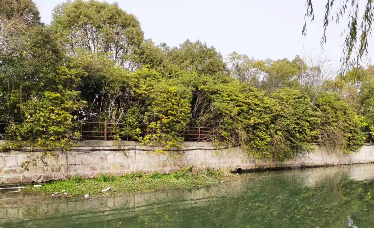 首屆陜西省農業品牌設計大賽正式啟動