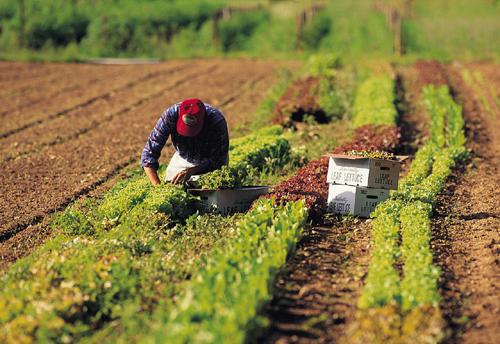 3828587427.jpg 3828587427.jpg