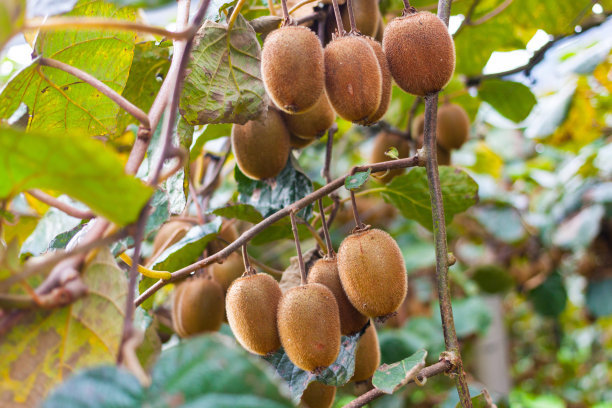 t0109fd9660d6c9af26.jpg t0109fd9660d6c9af26.jpg