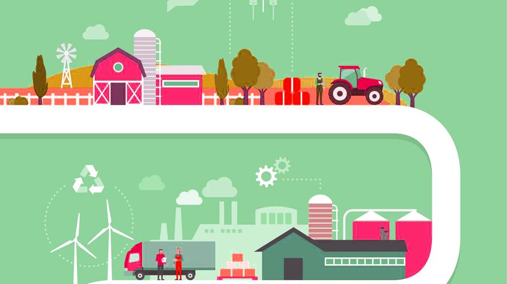 家庭農場創業計劃書 上海美御農業品牌建設