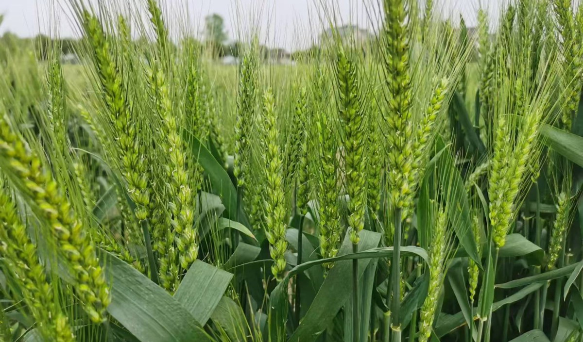 縮略圖2.jpg 縮略圖2.jpg