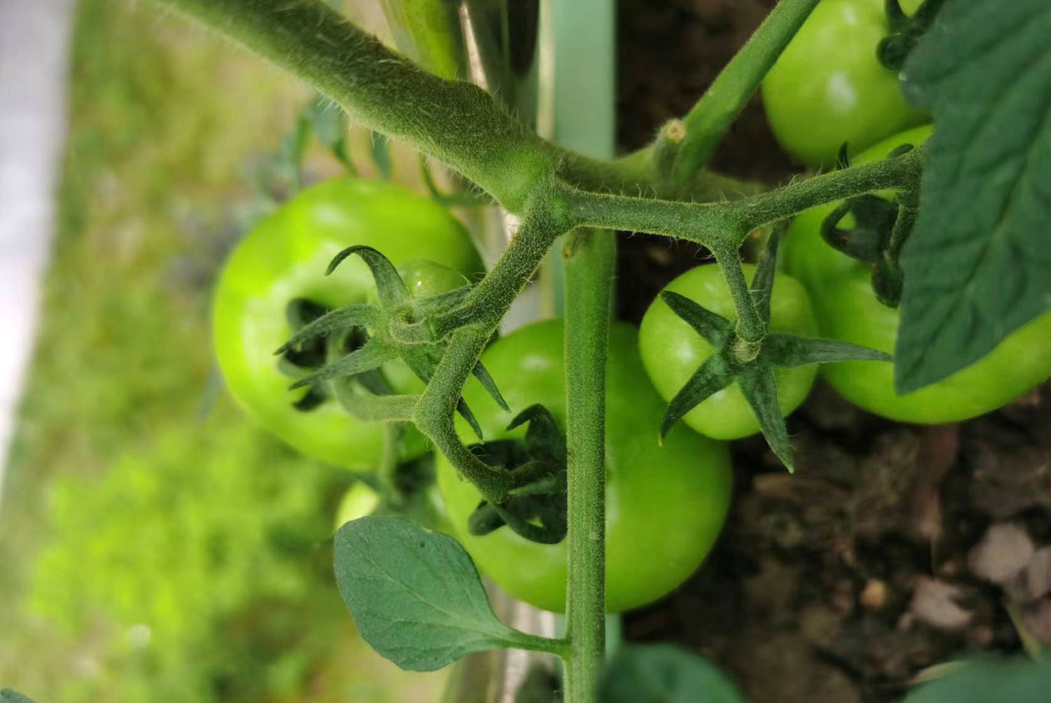 農產品公司如何策劃有競爭力的品牌定位