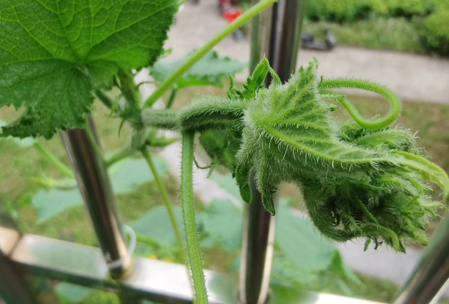 農產品公司如何策劃有競爭力的品牌定位