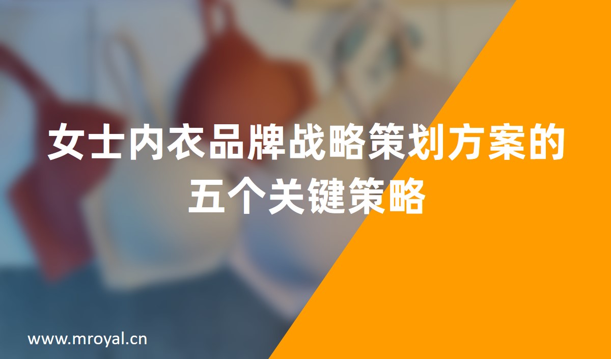 女士內衣品牌戰略策劃方案的五個關鍵策略