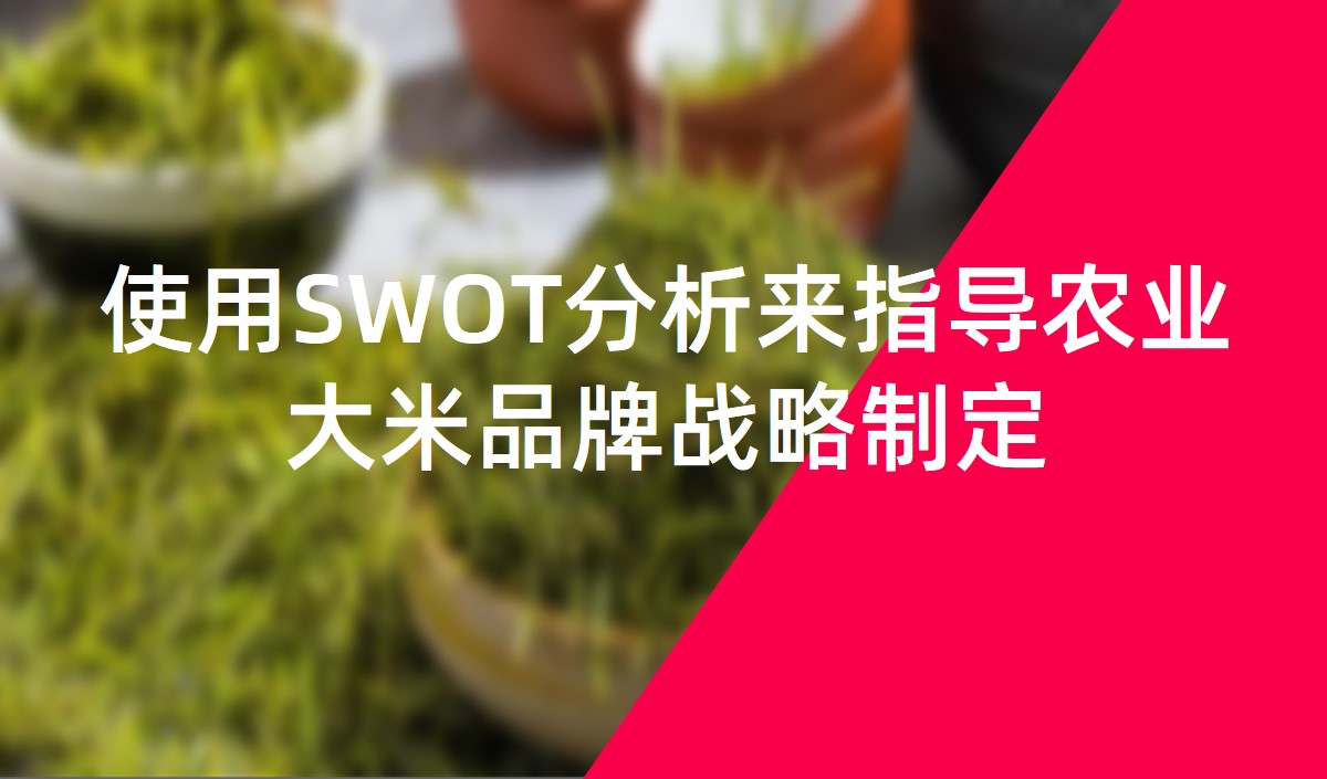 使用SWOT分析來指導農業大米品牌戰略制定