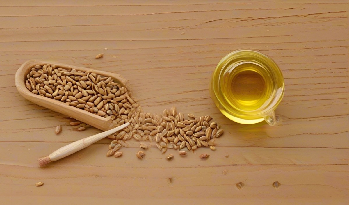 美御品牌全案策劃深度分析亞麻籽油行業的品牌策劃思路 美御品牌全案策劃深度分析亞麻籽油行業的品牌策劃思路