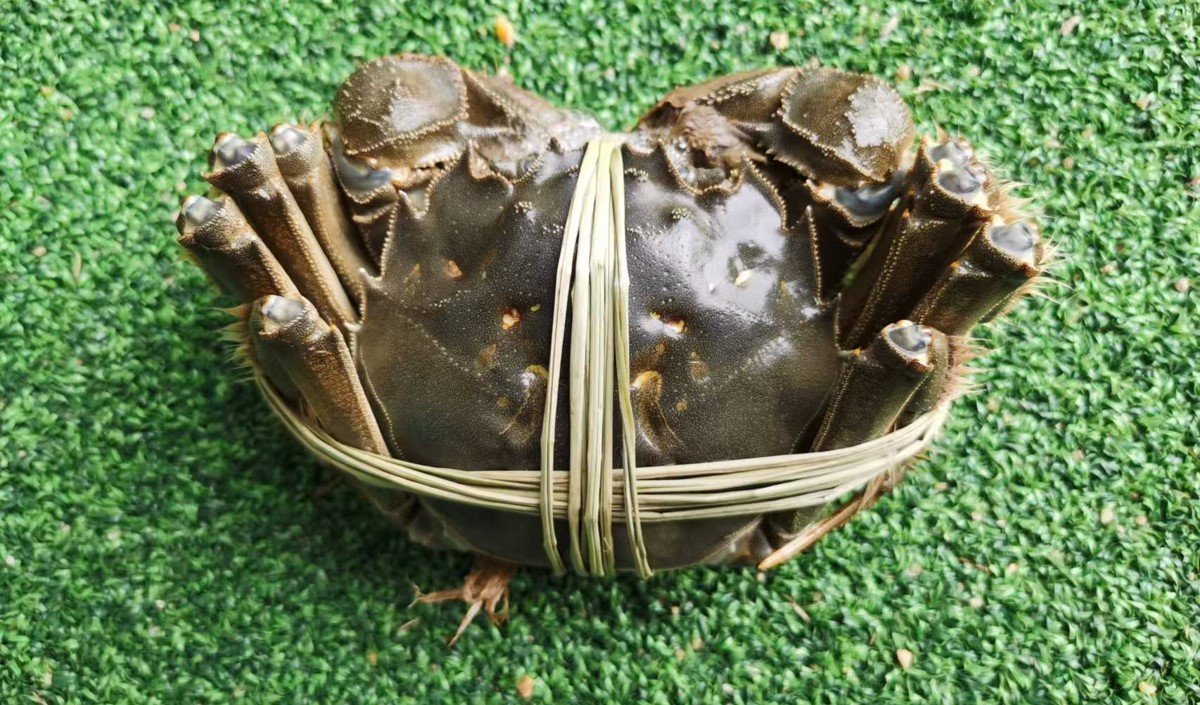 中秋節前的大閘蟹品牌營銷策劃方案