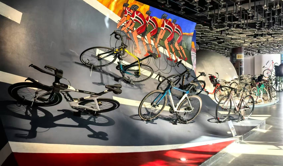 自行車行業的品牌定位競爭分析 自行車行業的品牌定位競爭分析