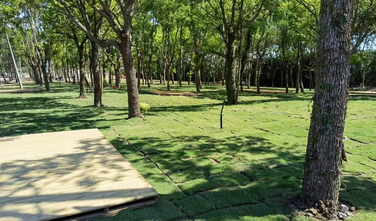 農業品牌化：從田間地頭到價值高地的戰略躍升